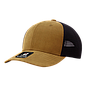 Gorra Michigan